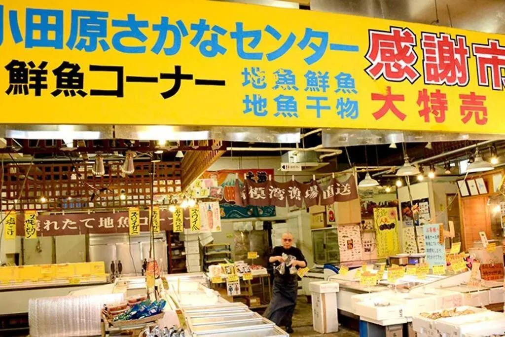 ペットok小田原箱根駅伝が見られる家 Apartman Odavari